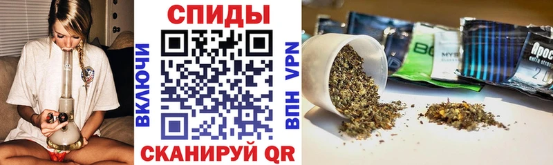 дарнет шоп  Нолинск  Бутират буратино 