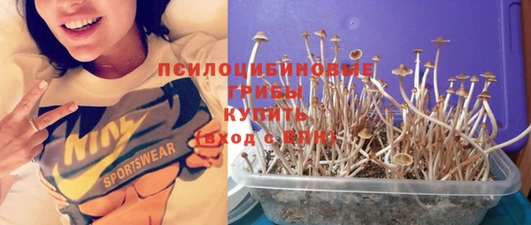 соль курить ск Арсеньев
