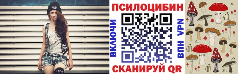 даркнет сайт  ОМГ ОМГ рабочий сайт  Галлюциногенные грибы Psilocybine cubensis  Нолинск 